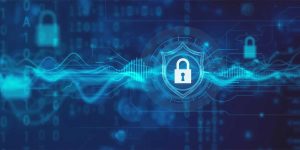 RBI's .bank.in Domain Mandate